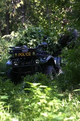 Encore du pot saisi en Matawinie