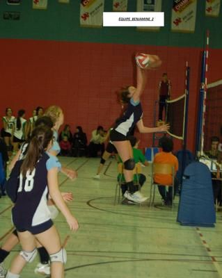 Les  Libellules Benjamines en action