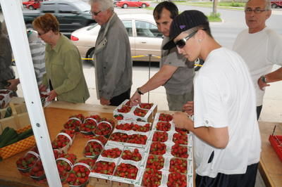 Les fraises de Lanaudière ornent déjà vos desserts