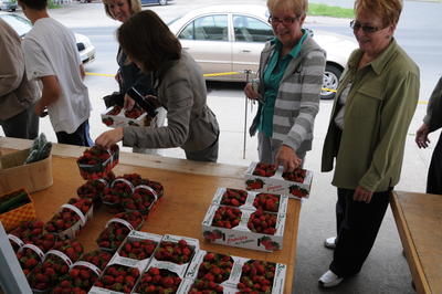 Les fraises de Lanaudière ornent déjà vos desserts