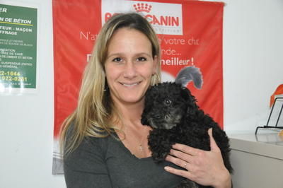 Une SPCA qui sème la grogne