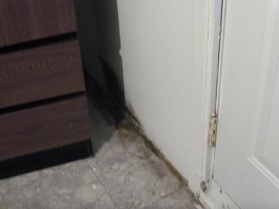 Des travaux qui s'éternisent