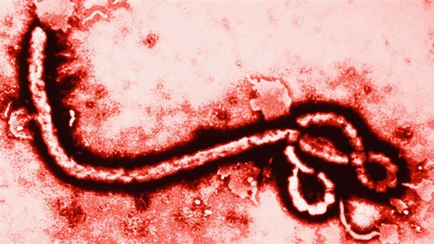 Virus, vague de froid intense et fermeture majeure pour débuter l'année