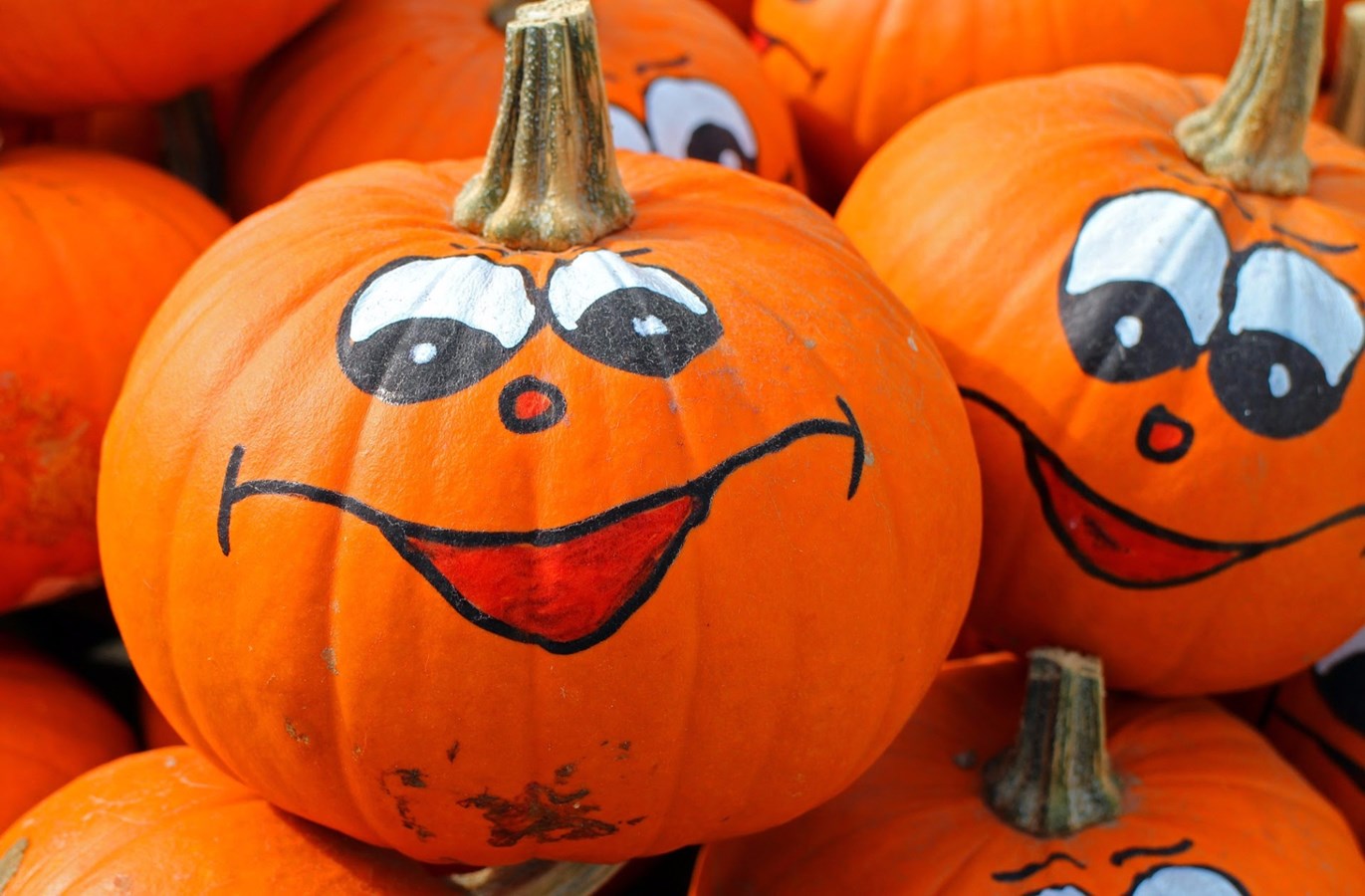 Concours de citrouilles décorées : La Maison Louis-Cyr souhaite votre participation