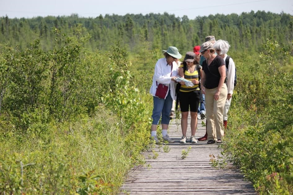 Des visites écologiques et forestières à ne pas manquer!