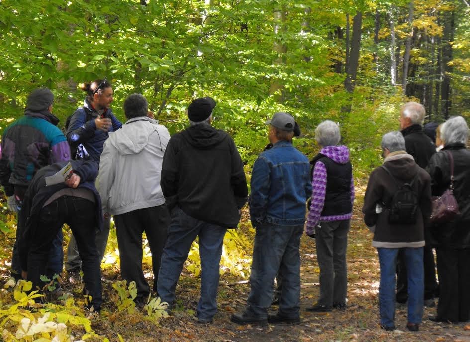 Des visites écologiques et forestières à ne pas manquer!