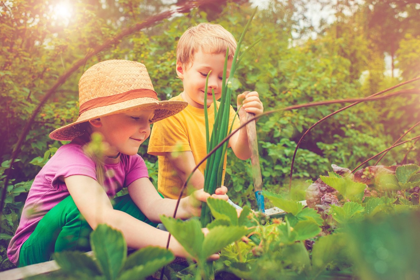 50 nouveaux jardins urbains grâce au projet Cultivons et mangeons local