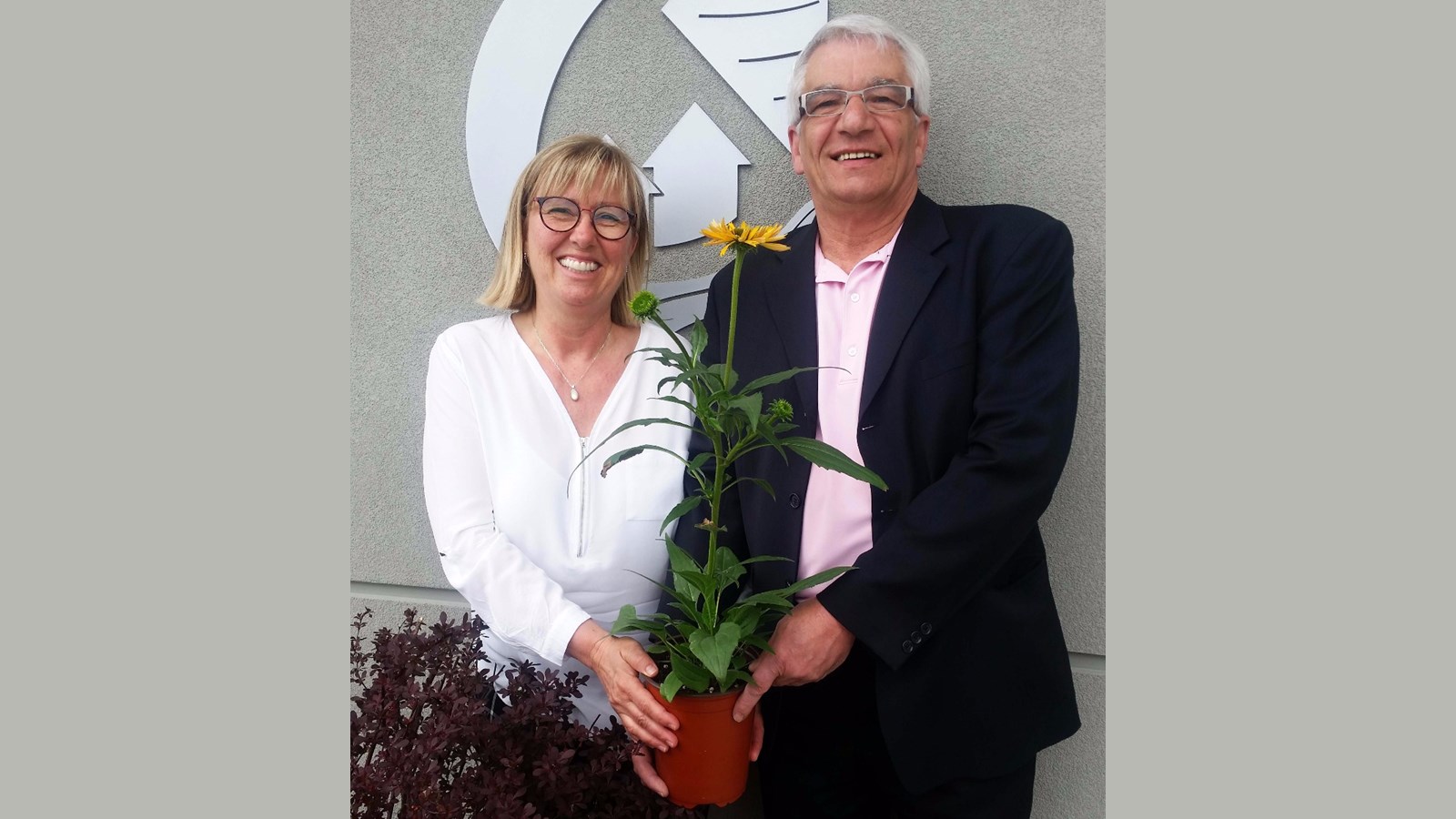L’échinacée jaune : nouvelle fleur emblème pour Notre-Dame-des-Prairies!