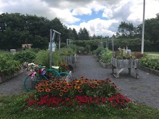 FÊTE DES RÉCOLTES du JARDIN du SAVOIR: Une fête gratuite et pour tous!