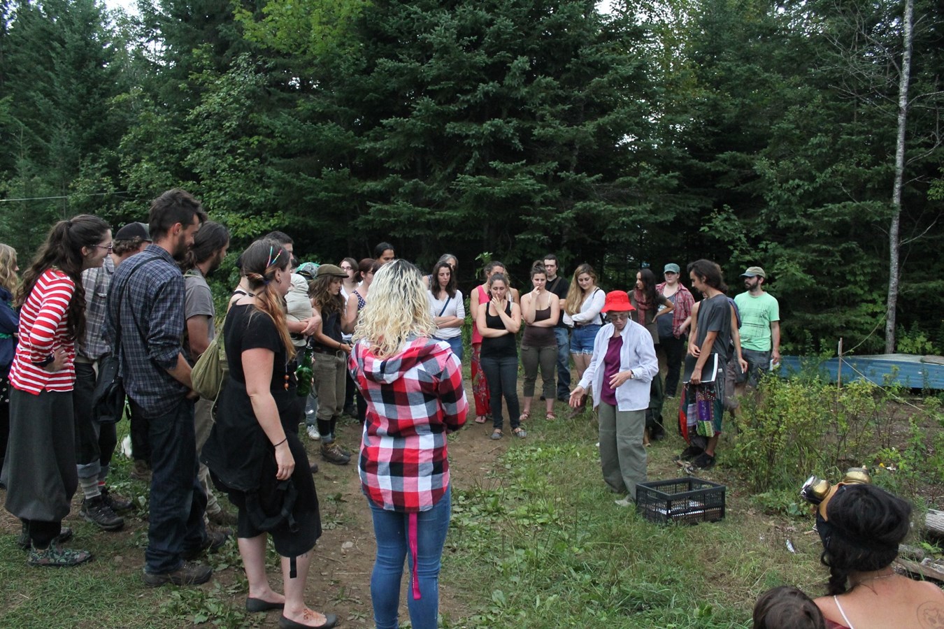 Festival d'Éducation libre, Atelier d'identification de plantes médicinales avec Odette Simard
