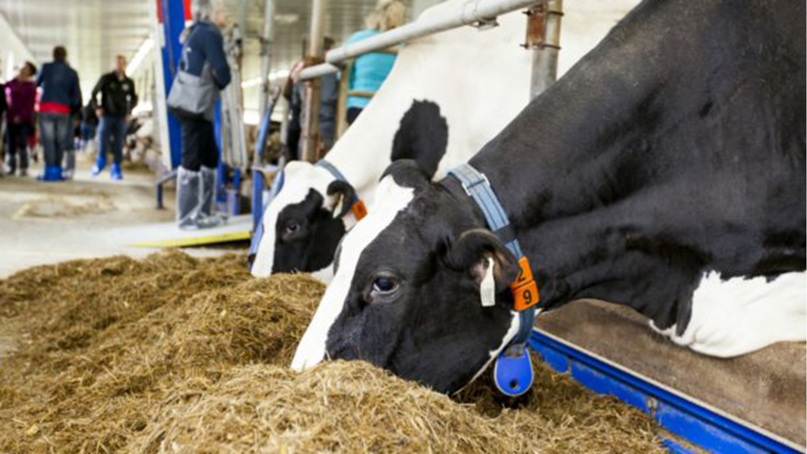 Rendez-vous avec vos voisins agriculteurs le 9 septembre prochain!