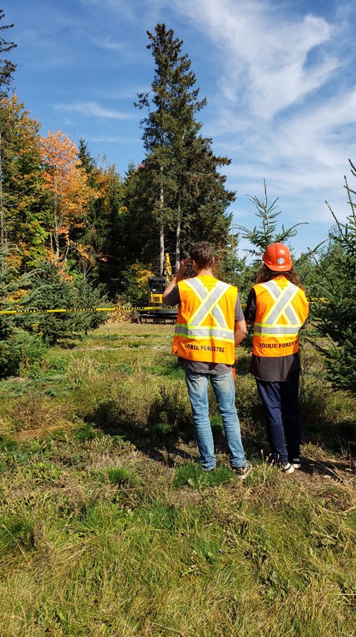 L'événement "Viens vivre la forêt" à attiré plus de 400 jeunes vers le secteur forestier