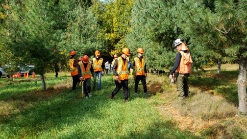 L'événement "Viens vivre la forêt" à attiré plus de 400 jeunes vers le secteur forestier