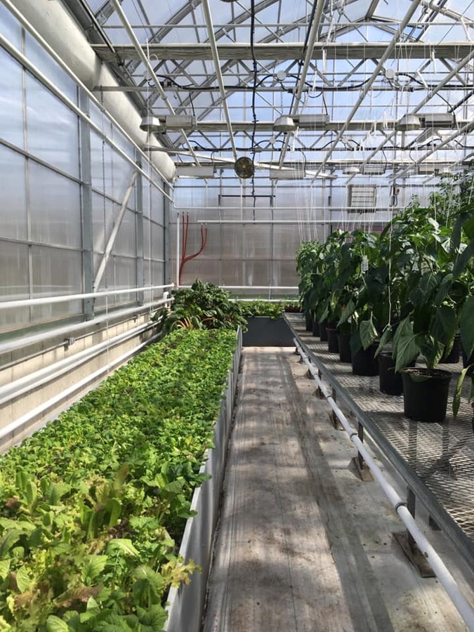 Un nouveau programme au Cégep à Joliette