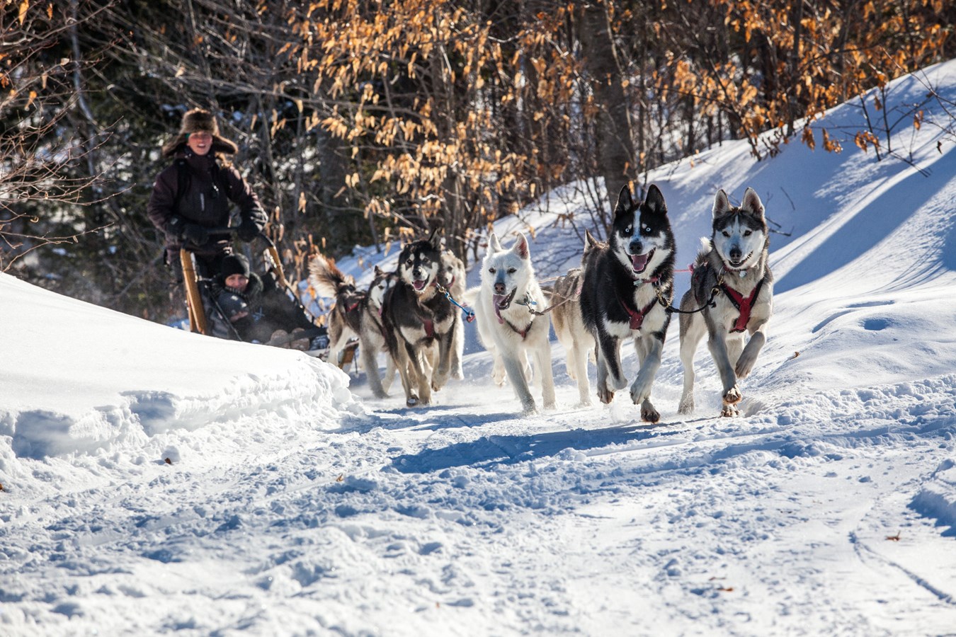 Saison de ski : 4 stations et 8 attraits hivernaux accessibles en bus à Lanaudière