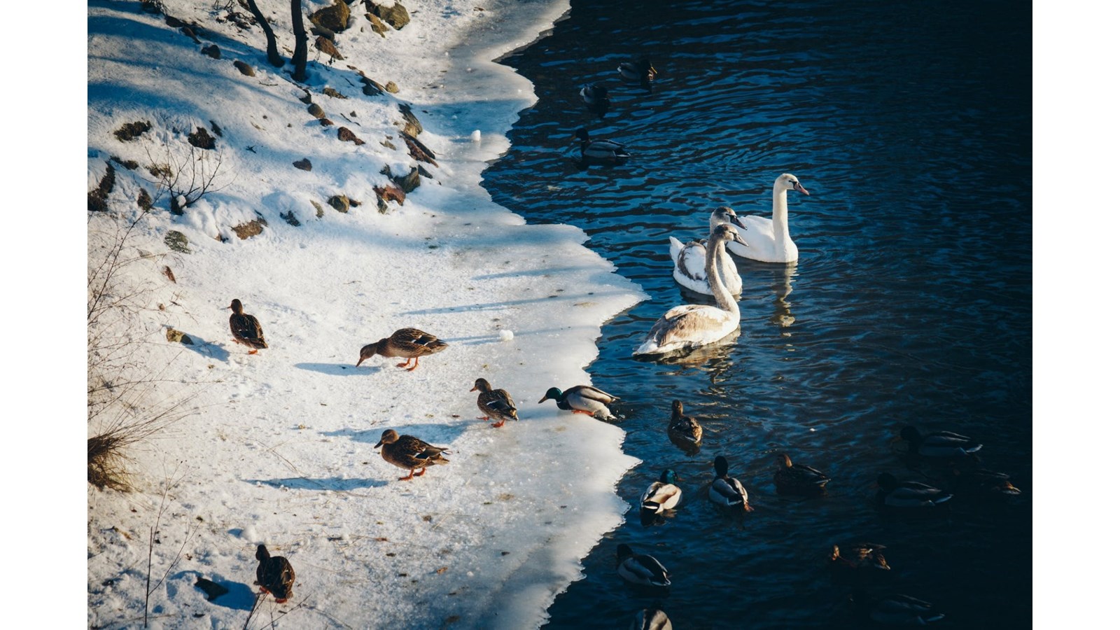 Au printemps, restez loin des cours d’eau gelés!