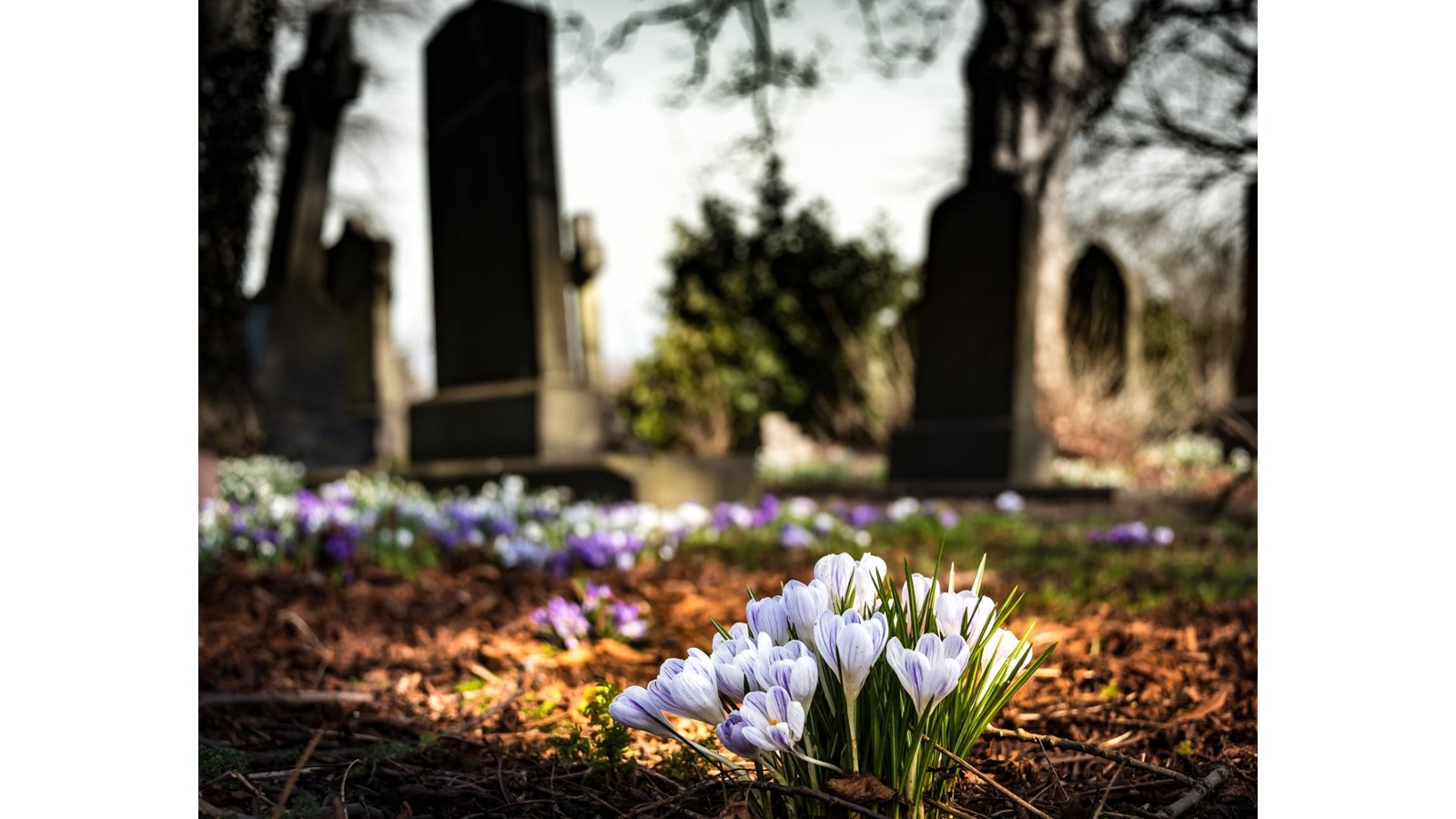 Honorons la mémoire des personnes décédées ou blessées au travail