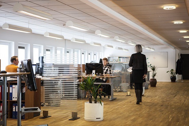 Types de cloisons de bureau, porte et fenêtre : Choisir la bonne solution pour votre espace de travail