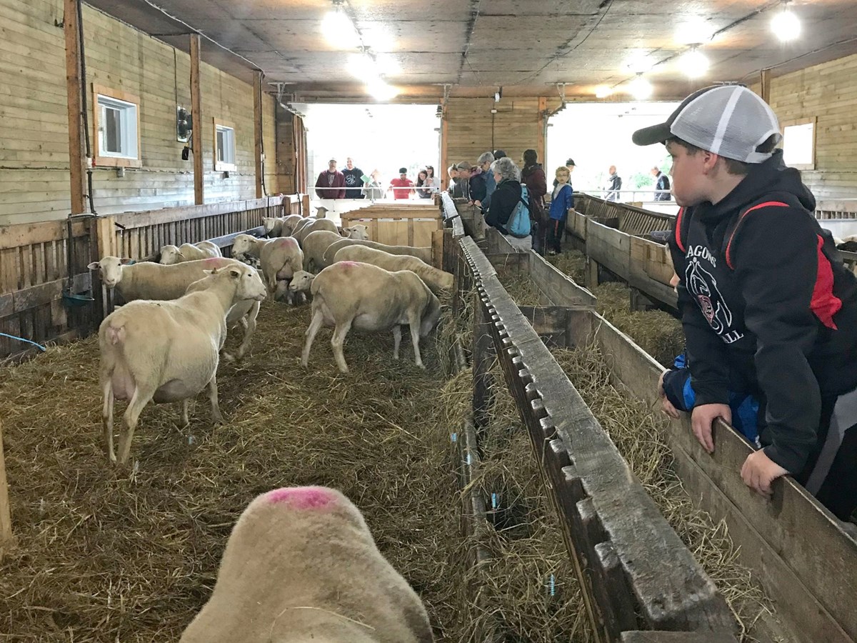 30 000 visiteurs pour Lanaudière lors des Portes ouvertes sur les fermes du Québec