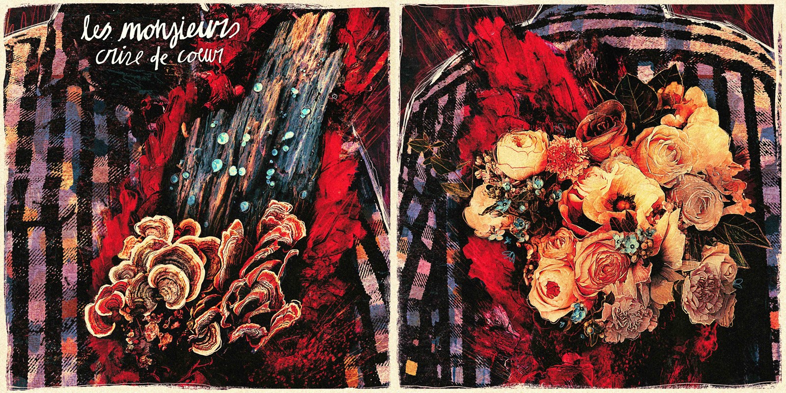 Cover de l'album Crise de coeur.