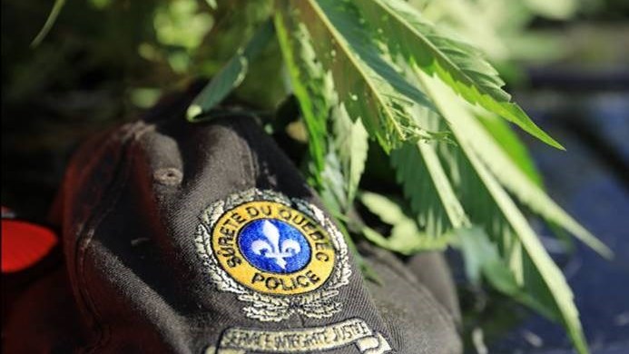 Contrebande : 15 600 cigarettes et 113,5 grammes de cannabis saisis à Joliette