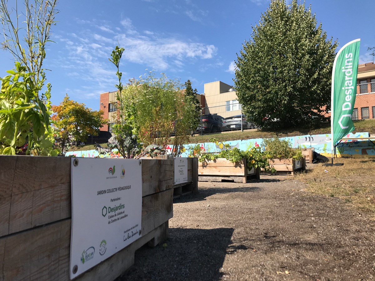 À Saint-Félix-de-Valois, le jardin collectif a procuré légumes et connaissances