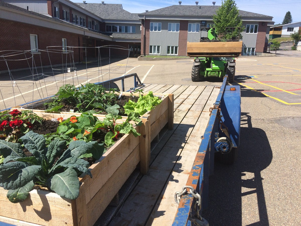 À Saint-Félix-de-Valois, le jardin collectif a procuré légumes et connaissances