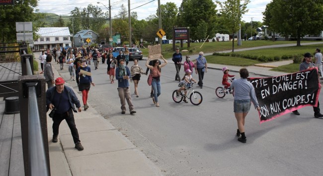 Le dimanche 7 juin, lors de la mobilisation contre les coupes dans la forêt du Nord de Lanaudière, à Sainte-Émilie-de-L'Énergie.