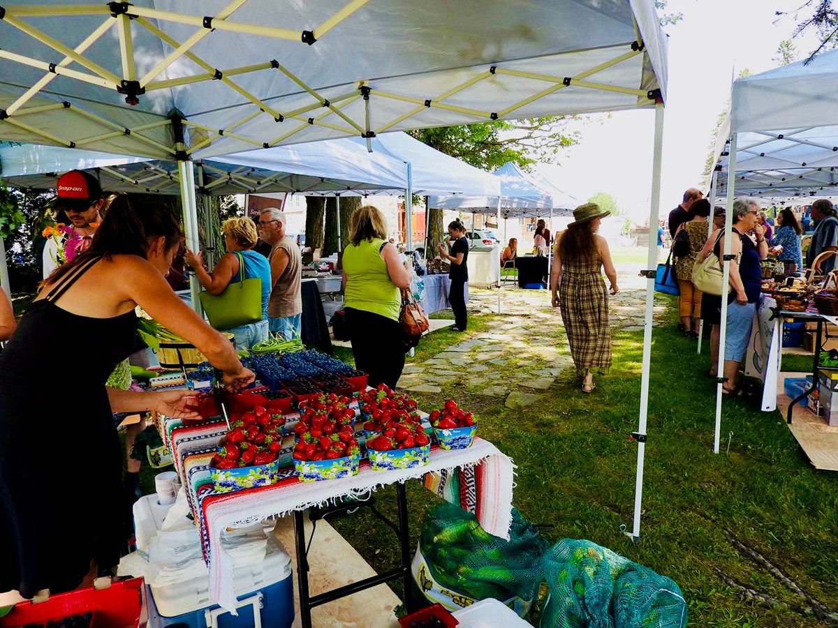 Le Marché fermier revient cet été à Saint-Norbert!