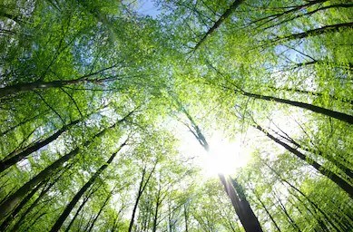 Débat sur l’environnement à Saint Gabriel-de-Brandon