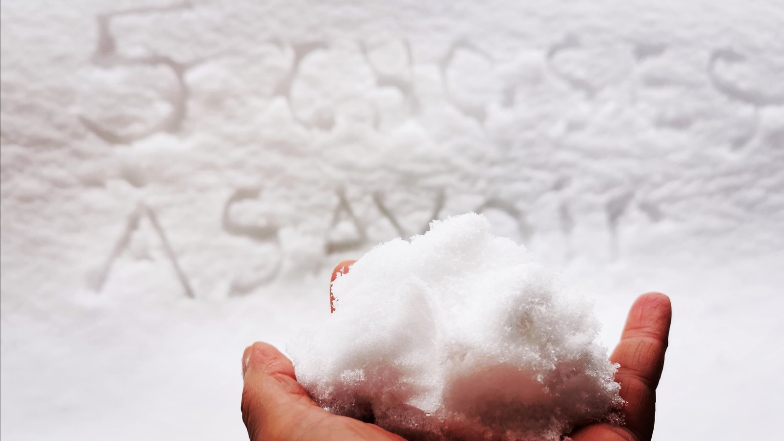 5 choses à savoir sur la neige