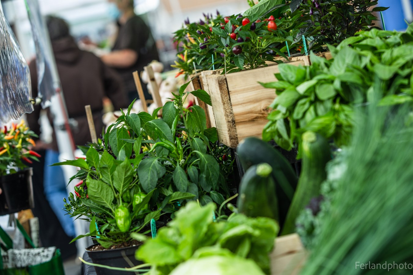 Des marchés publics à saveur culturelle