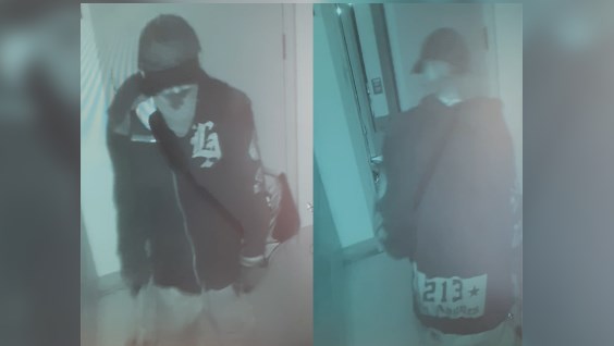 Vol et méfaits : La SQ demande l’aide public pour identifier un suspect