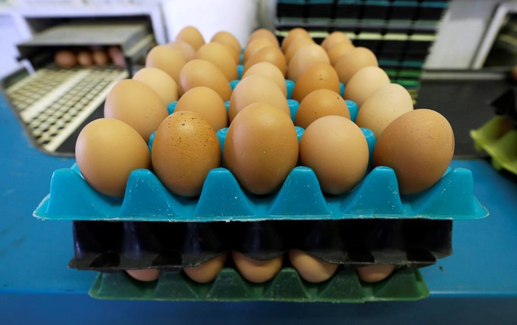 Les banques alimentaires du Québec sonnent l'alarme