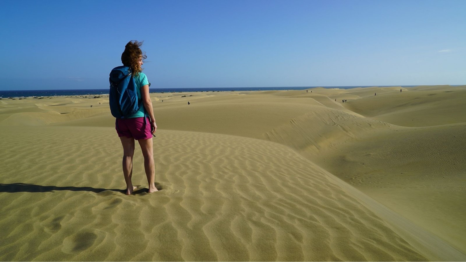 Le film Îles Canaries - Paradis de l'Atlantique sera en projection au Cinéma RGFM de Joliette