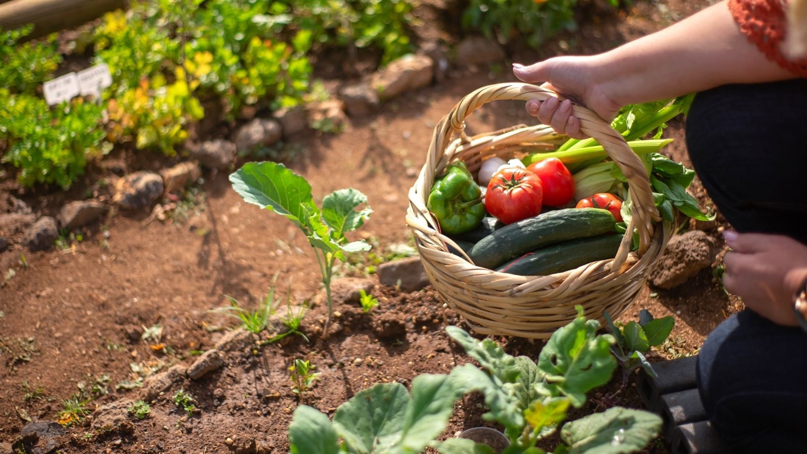 Une drôle de conférence sur l'horticulture sera présentée à Saint-Paul