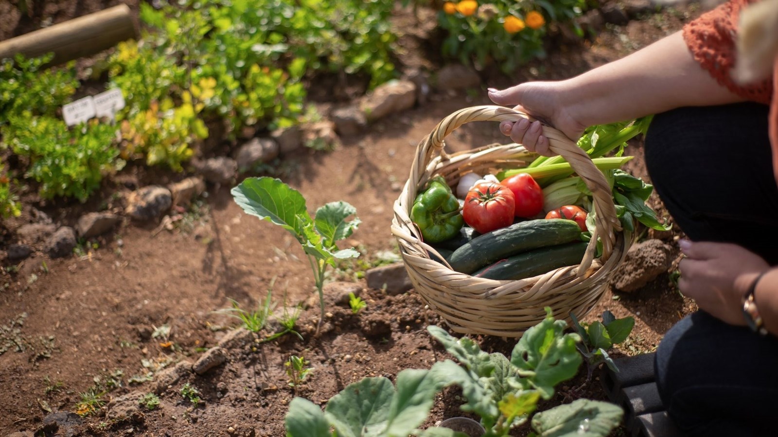 Il est possible de louer un jardin communautaire jusqu'au 10 avril