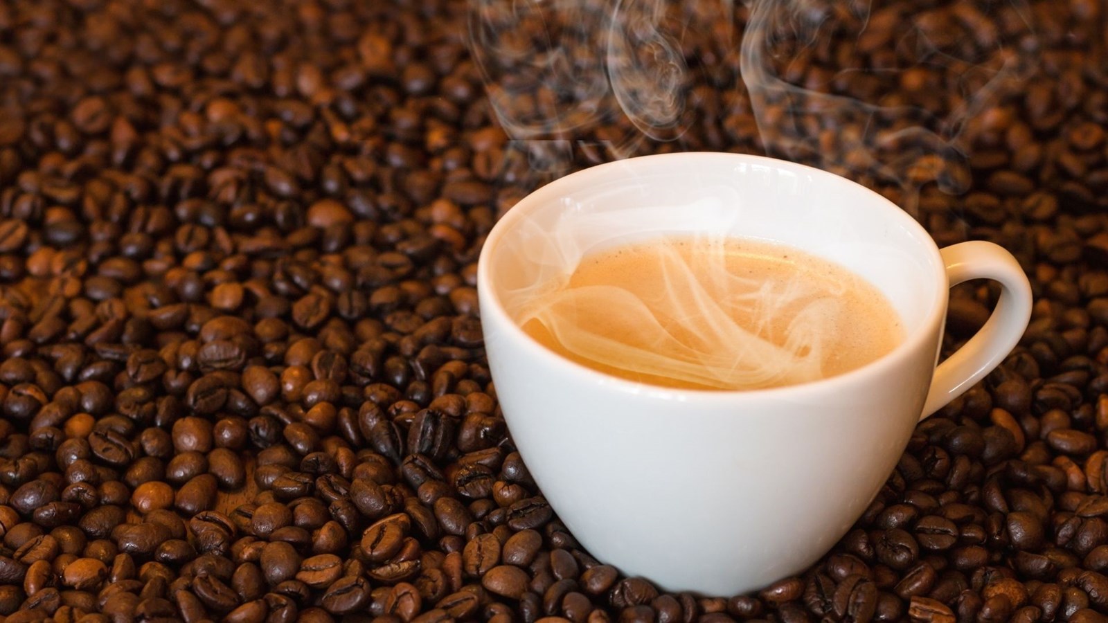 Un nouveau café accueille les amateurs de saveurs à Saint-Gabriel