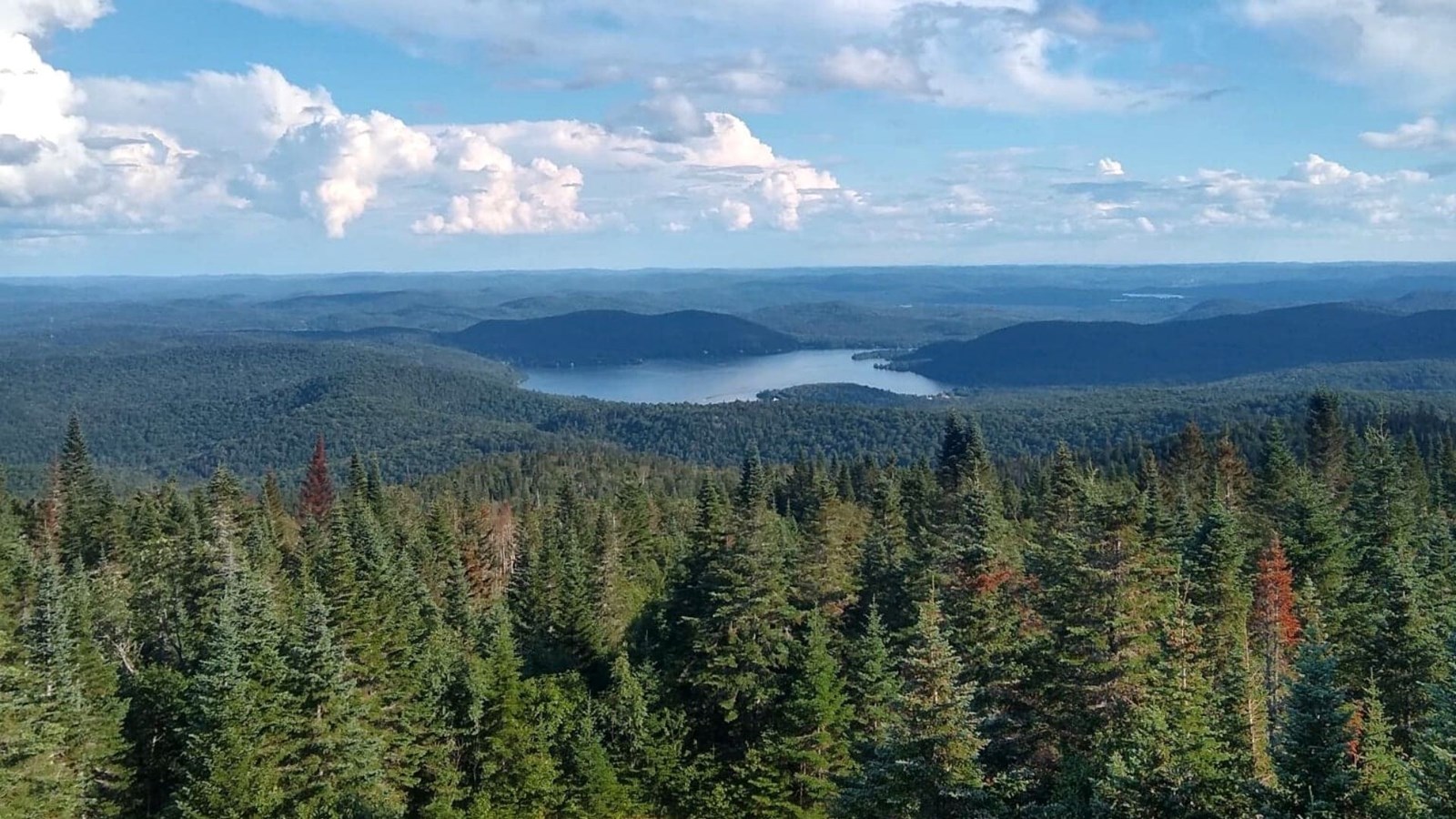 Saint-Donat clarifie le projet «Domaine de la Montagne Noire»