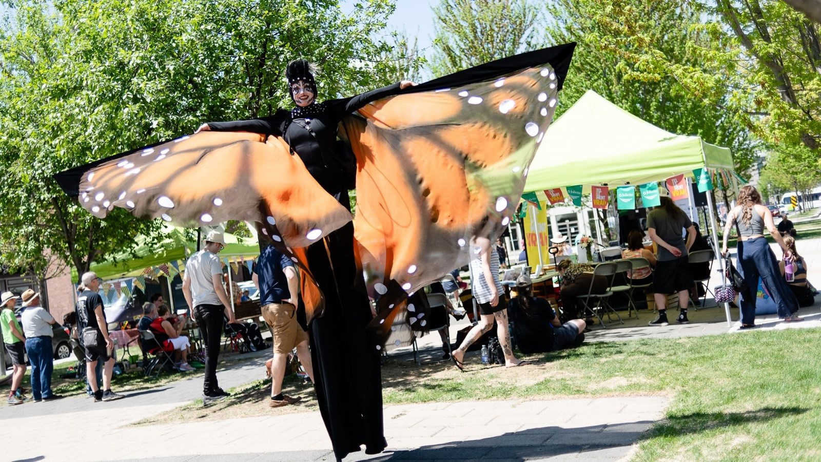 Papillon géant du Marché des Fleurs de Joliette