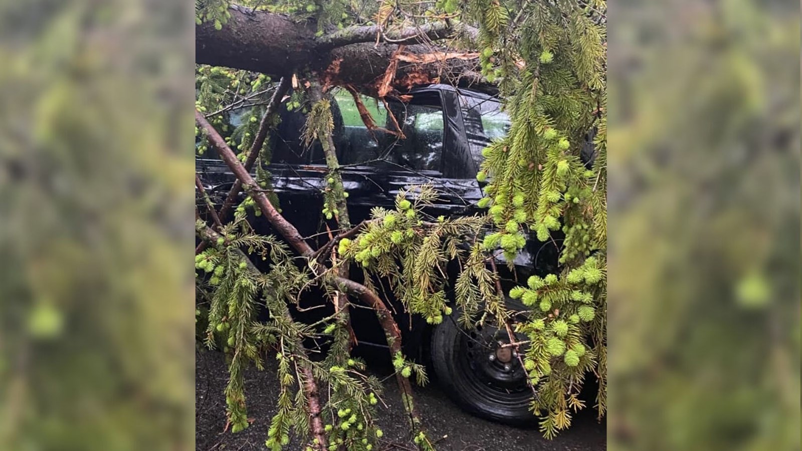 Tornade, ravages, et pannes d'électricité dans Lanaudière