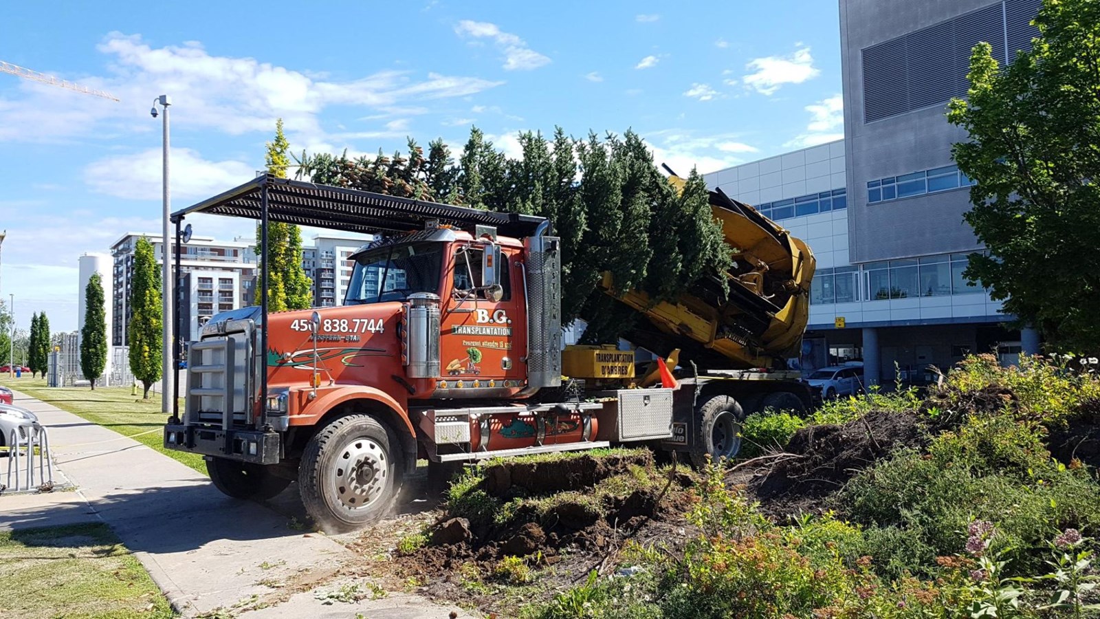 Le CISSS de Lanaudière relocalise des arbres sur le terrain d’un CPE