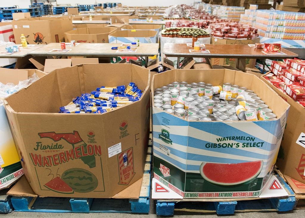 Budget : l’aide «insuffisante» laisse les banques alimentaires sur leur faim