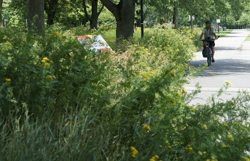 Santé Canada autorisera l'augmentation de résidus de pesticides sur les aliments