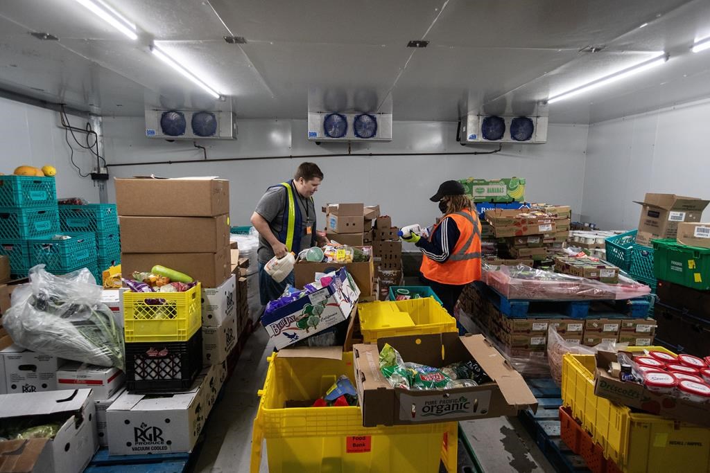 Le glanage pour lutter contre l'insécurité alimentaire des Canadiens