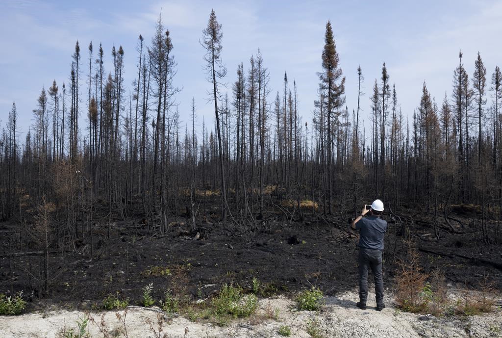 Le Canada devrait se préparer à une autre saison de grands feux, selon un chercheur