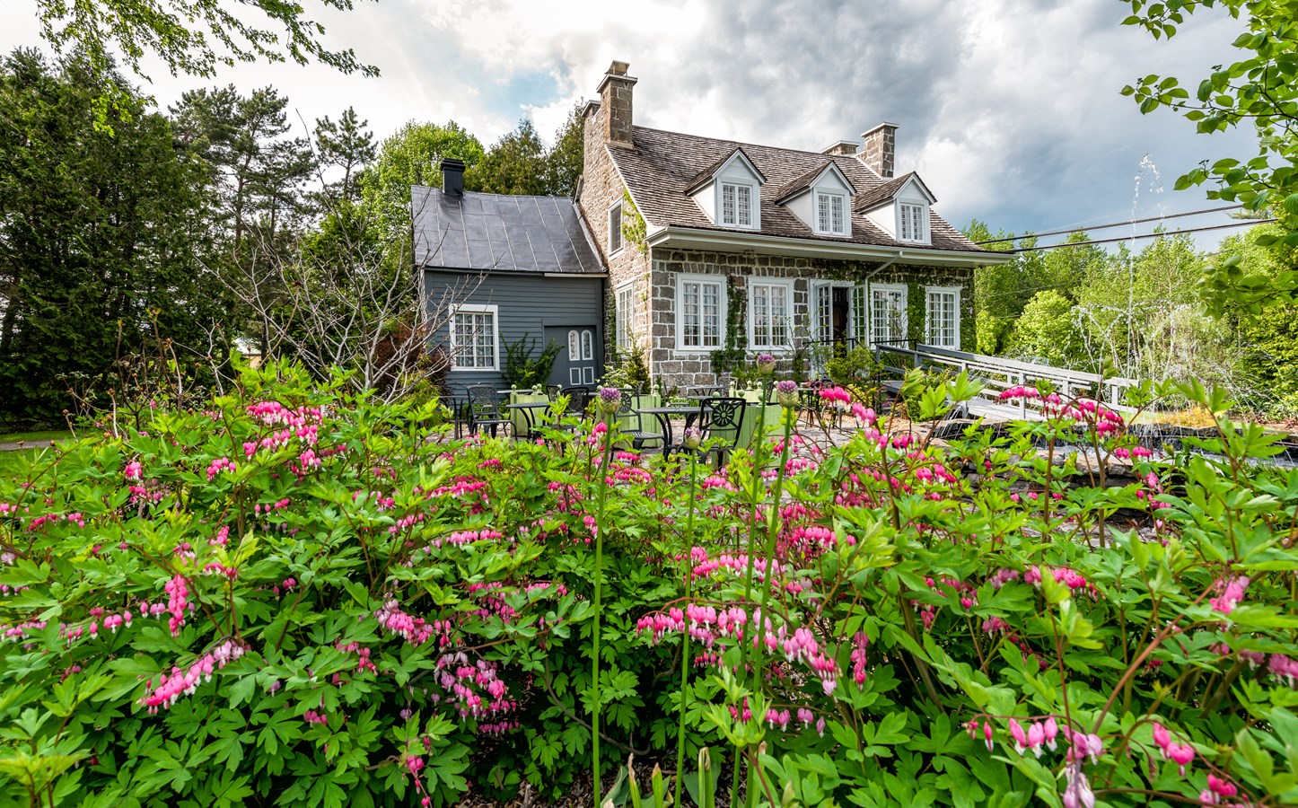 Vente de végétaux au profit de Maison et jardins Antoine-Lacombe