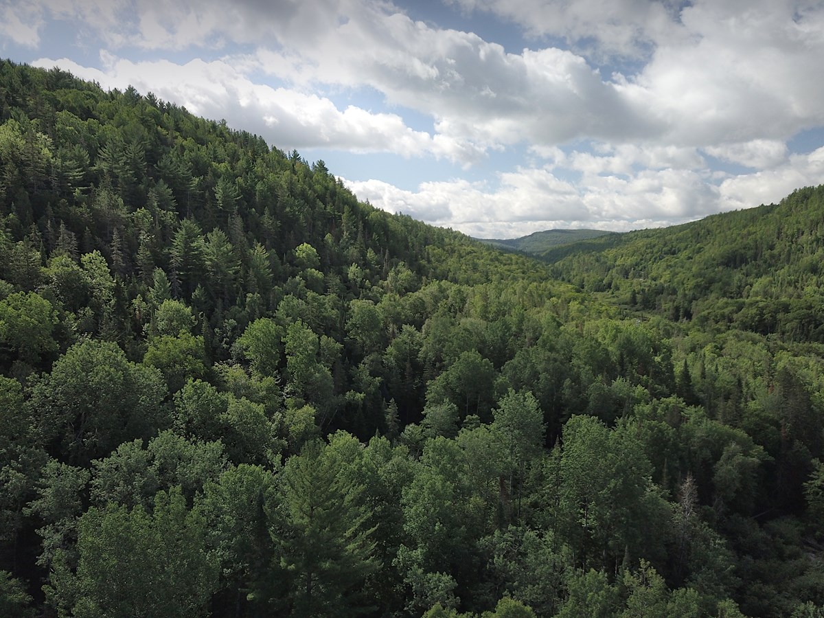 Un total de 223 hectares protégés de plus à Sainte-Émélie-de-l’Énergie