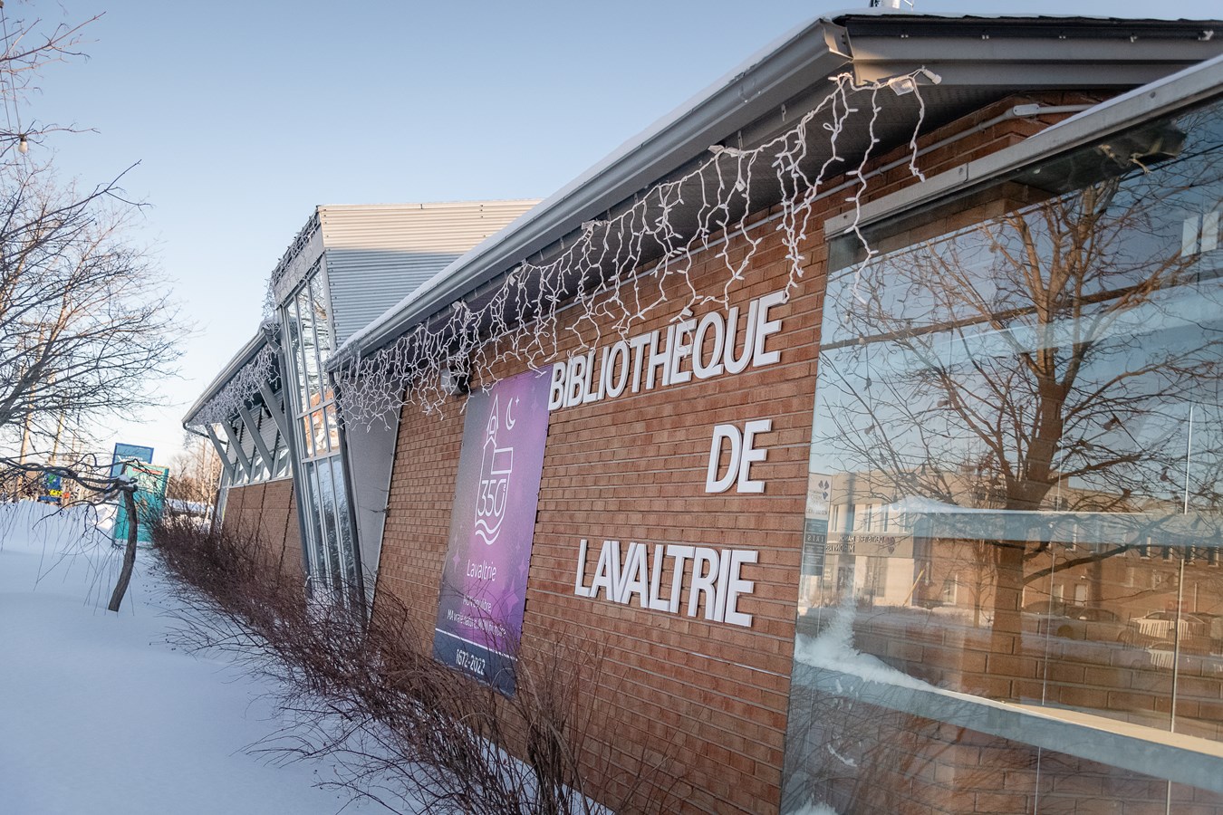 Appel de candidatures pour des expositions à la Bibliothèque Sylvie-Thouin