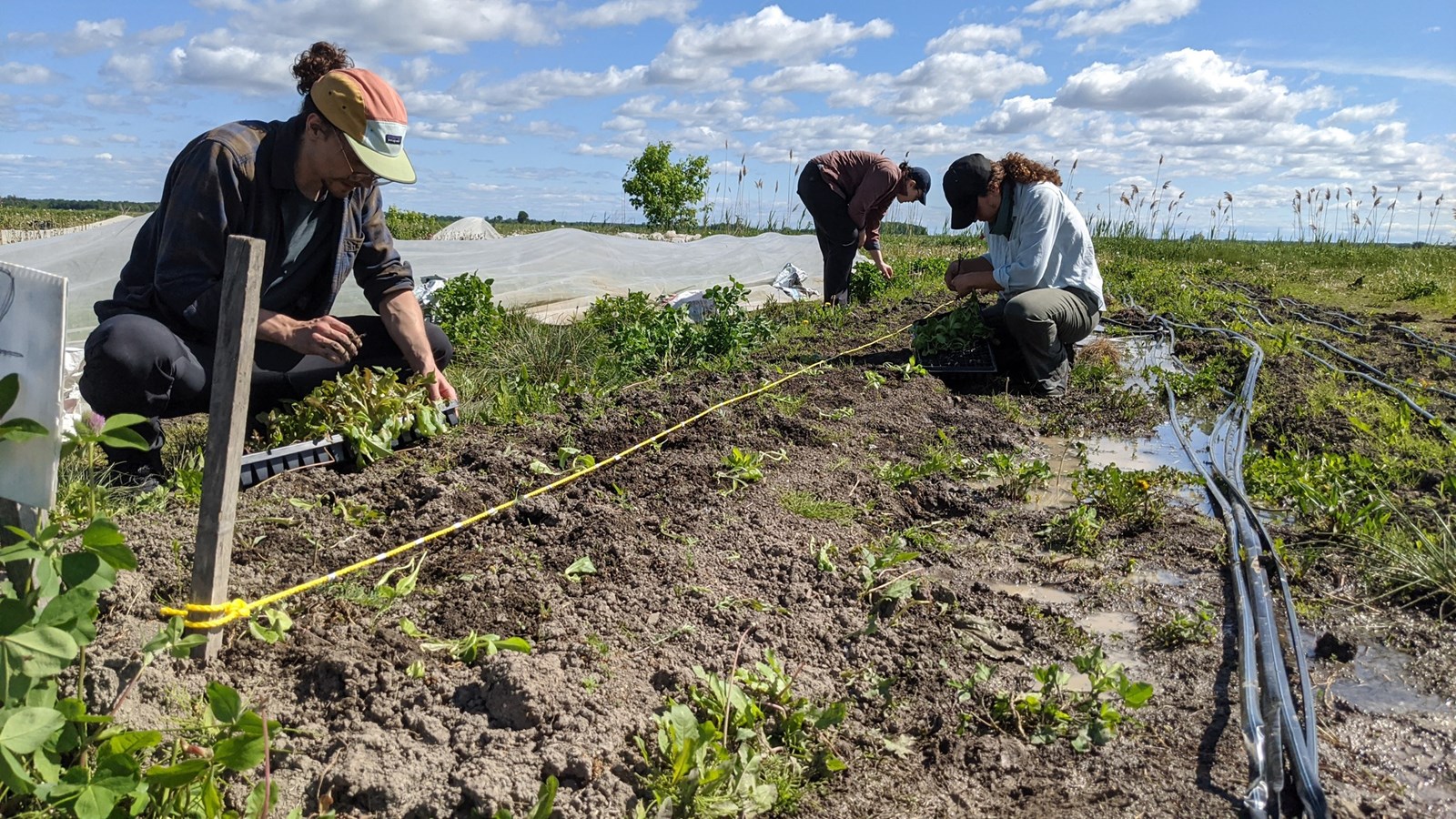 Faillite de la Coopérative pour l’Agriculture de Proximité Écologique
